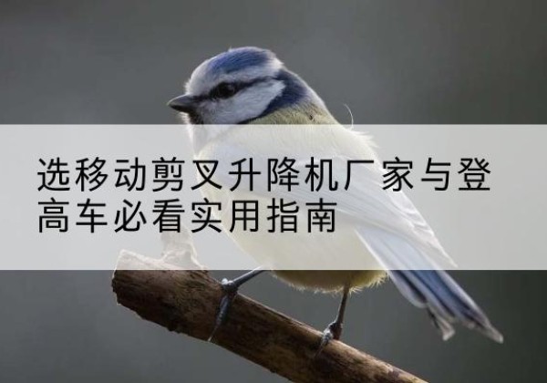 龙湾电动升降机厂家-选移动剪叉升降机厂家与登高车必看实用指南