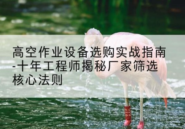 龙湾剪叉式升降机厂家-高空作业设备选购实战指南-十年工程师揭秘厂家筛选核心法则