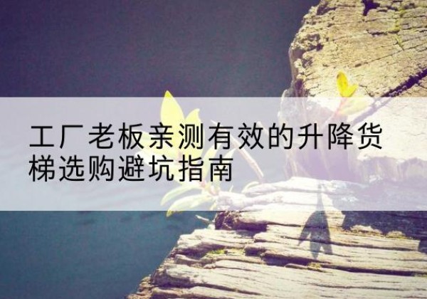龙湾升降货梯怎么选-工厂老板亲测有效的升降货梯选购避坑指南